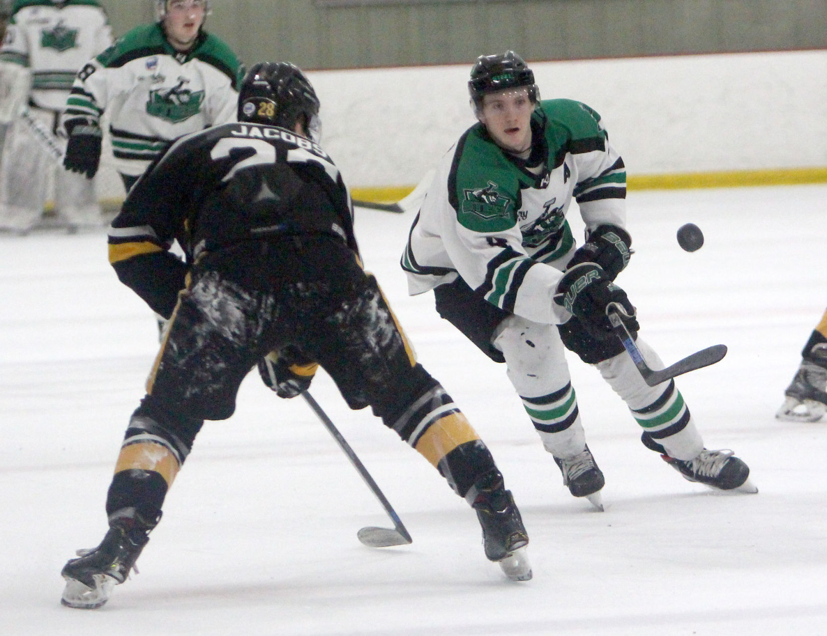 Austin Bruins at Chippewa Steel 1-25-20